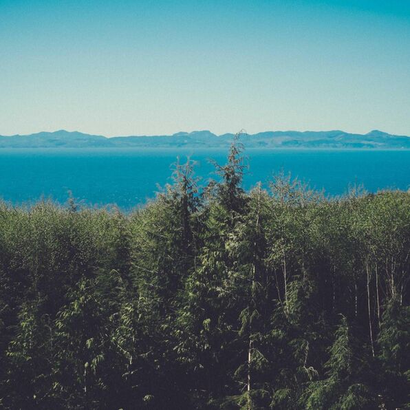 TeamMemberPage Team member role